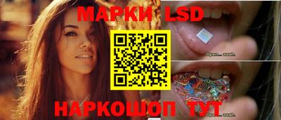 PSILOCYBIN Бердск