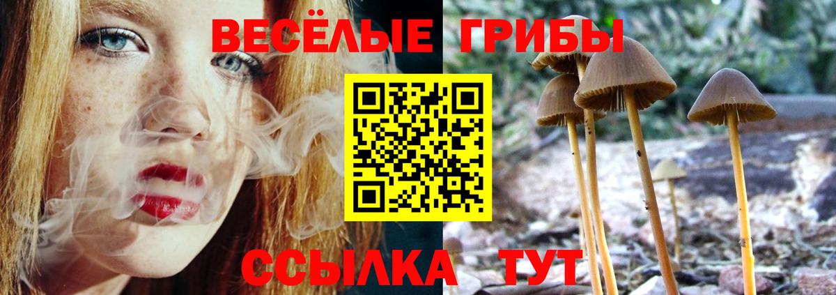 Галлюциногенные грибы Magic Shrooms Ижевск
